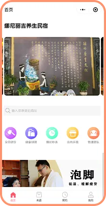 娜尼丽吉界面
