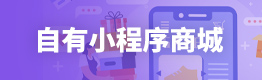 自有小程序商城