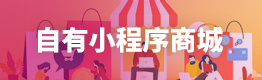 自有小程序商城