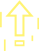 全年免费升级